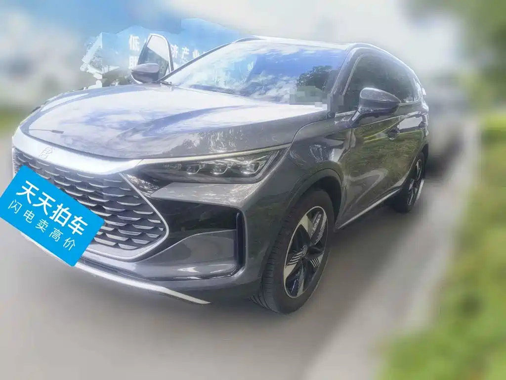 BYD Tang New Energy, 2024 год