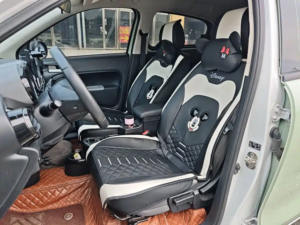 Ora Black Cat 2022 2022 Facelift 301km Pet Edition LFP Version