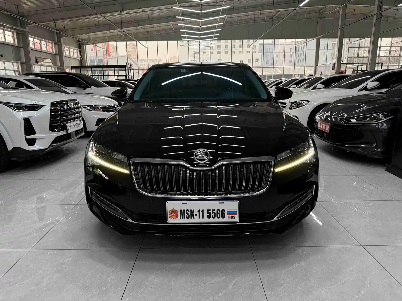 SKODA SPEED PIE
