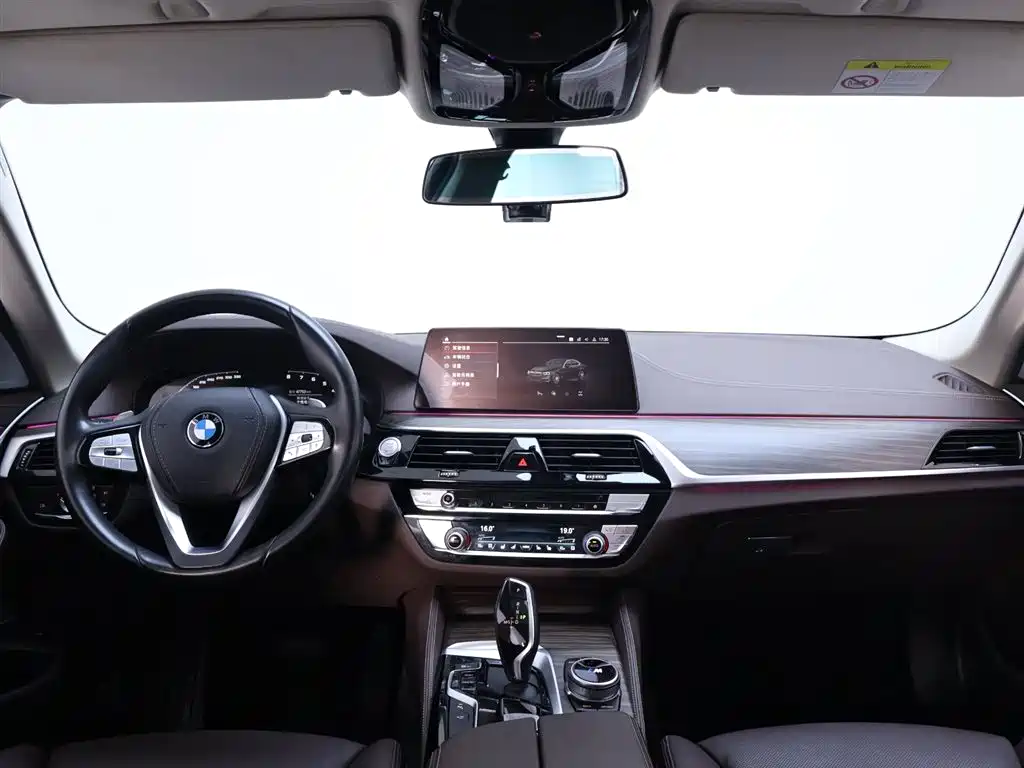 BMW 5 Series 2020 Model 530Li Executive Luxury Package фото 13