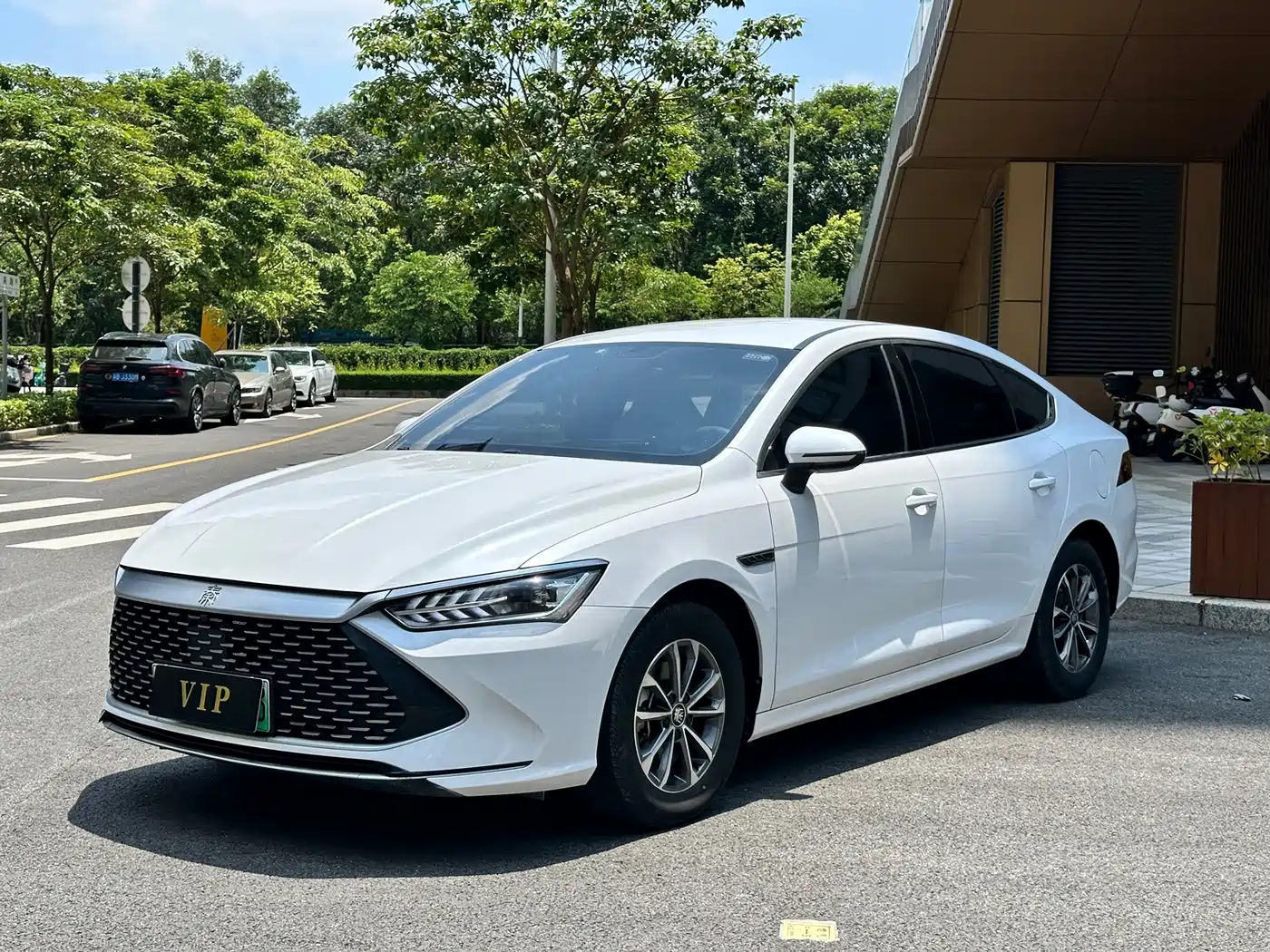 BYD Qin PLUS 2024