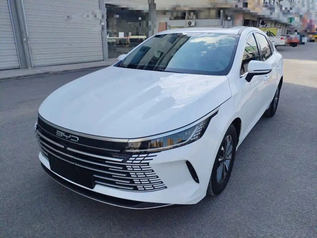 BYD Destroyer 05 2024 Glory Edition DM-i 55KM Executive