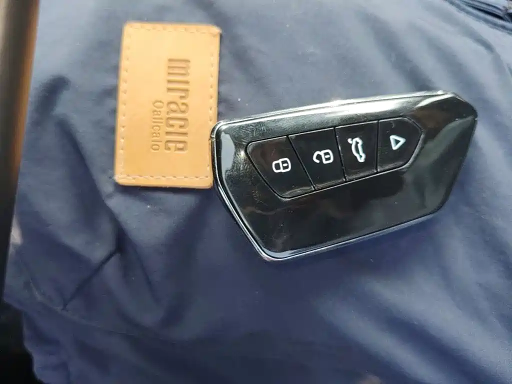Dongfeng Aeolus Haohan 2024 2023 DH-i 1.5T Luxury Edition