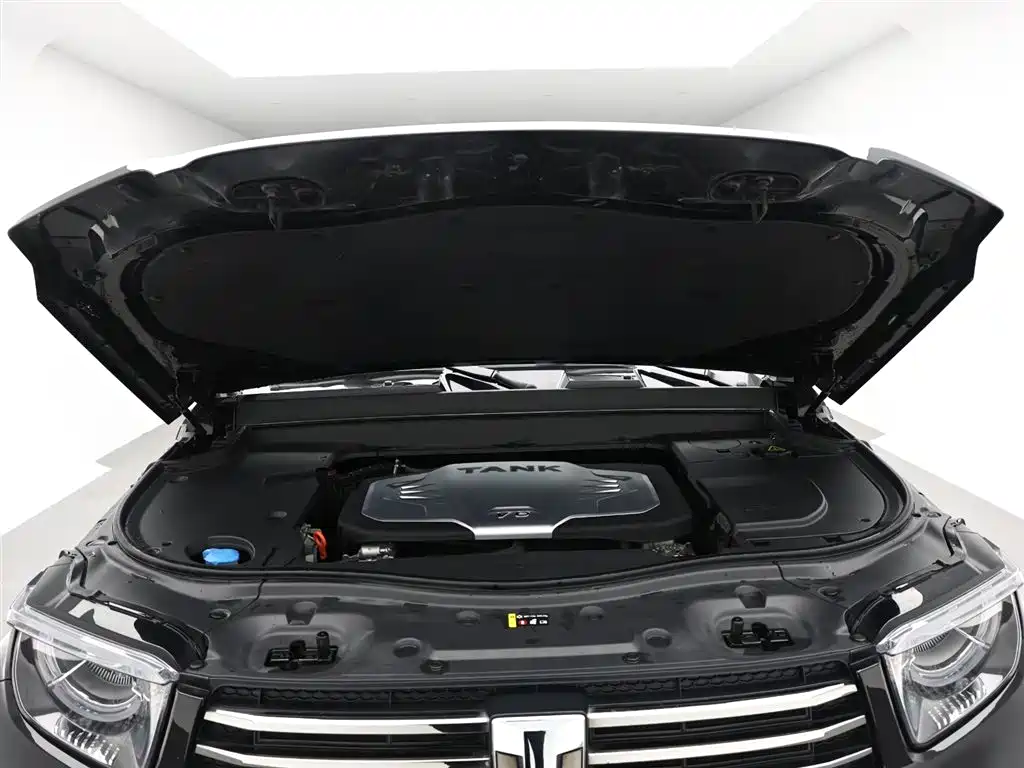 Tank 700 New Energy 2024 Hi4-T Extreme Edition фото 16