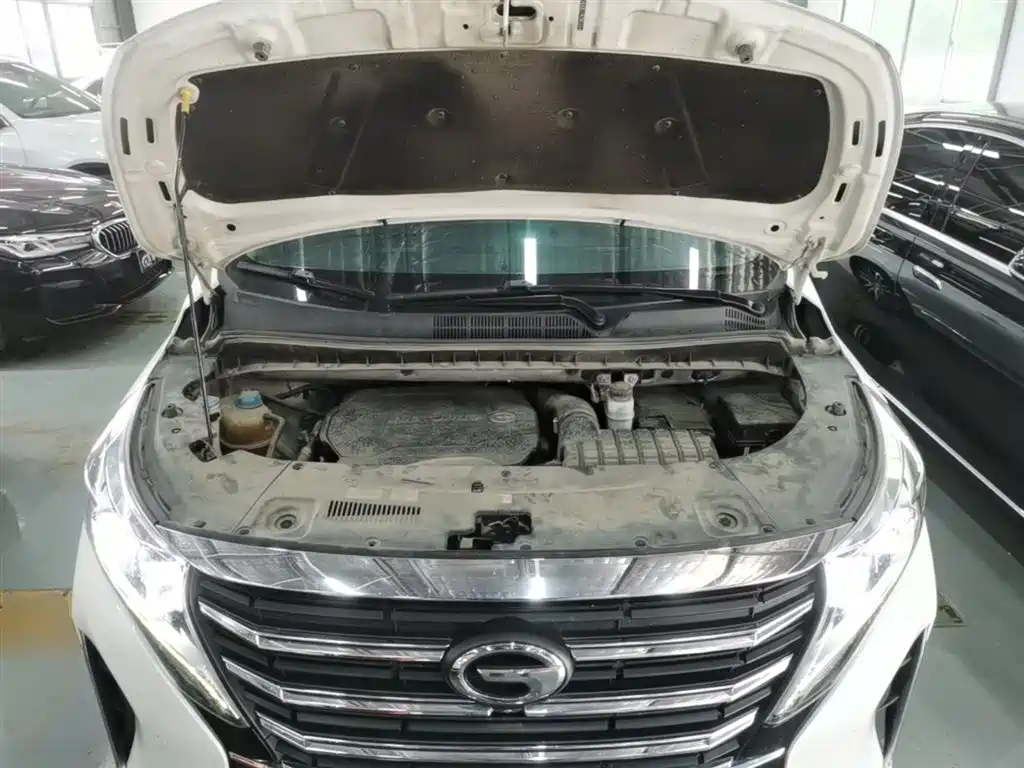 GAC Trumpchi Trumpchi M8 2021 Leading Show Series 390T Ultimate Edition фото 20