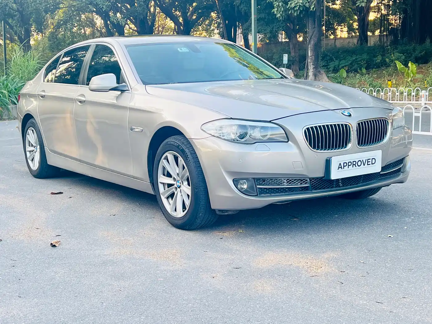 BMW 5 Series 2013 520Li Elegance фото 3