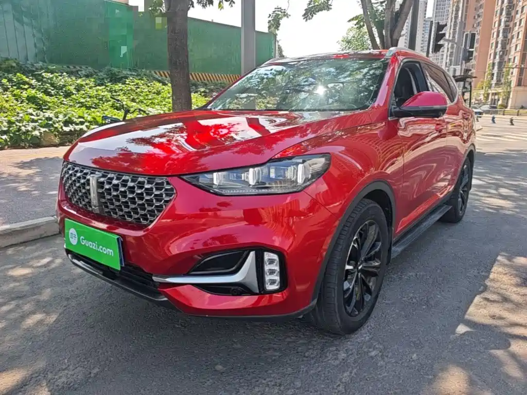WEY VV6 2020 2021 2.0T 2WD Smart Enjoyment+
