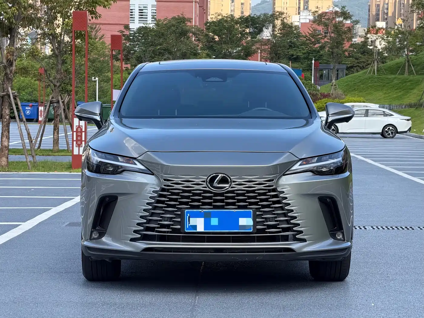 Lexus RX 2025 2025 300 4WD Premium Edition