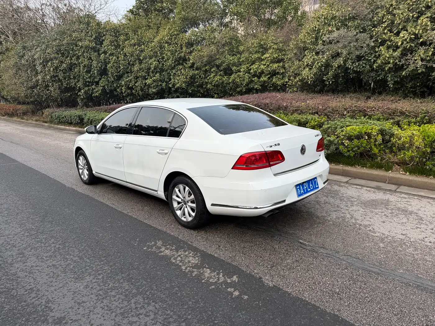 Volkswagen Magotan 2013 1.8TSI Luxury фото 8