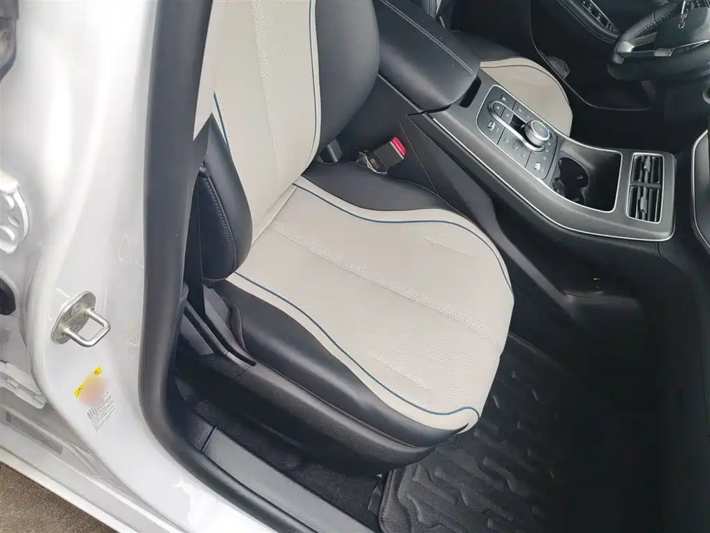 BYD Destroyer 05 2024 Glory Edition DM-i 55KM Luxury фото 25