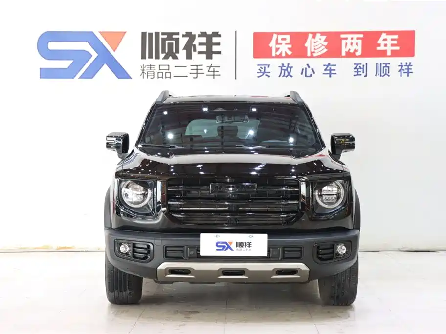 HAVAL BIG DOG