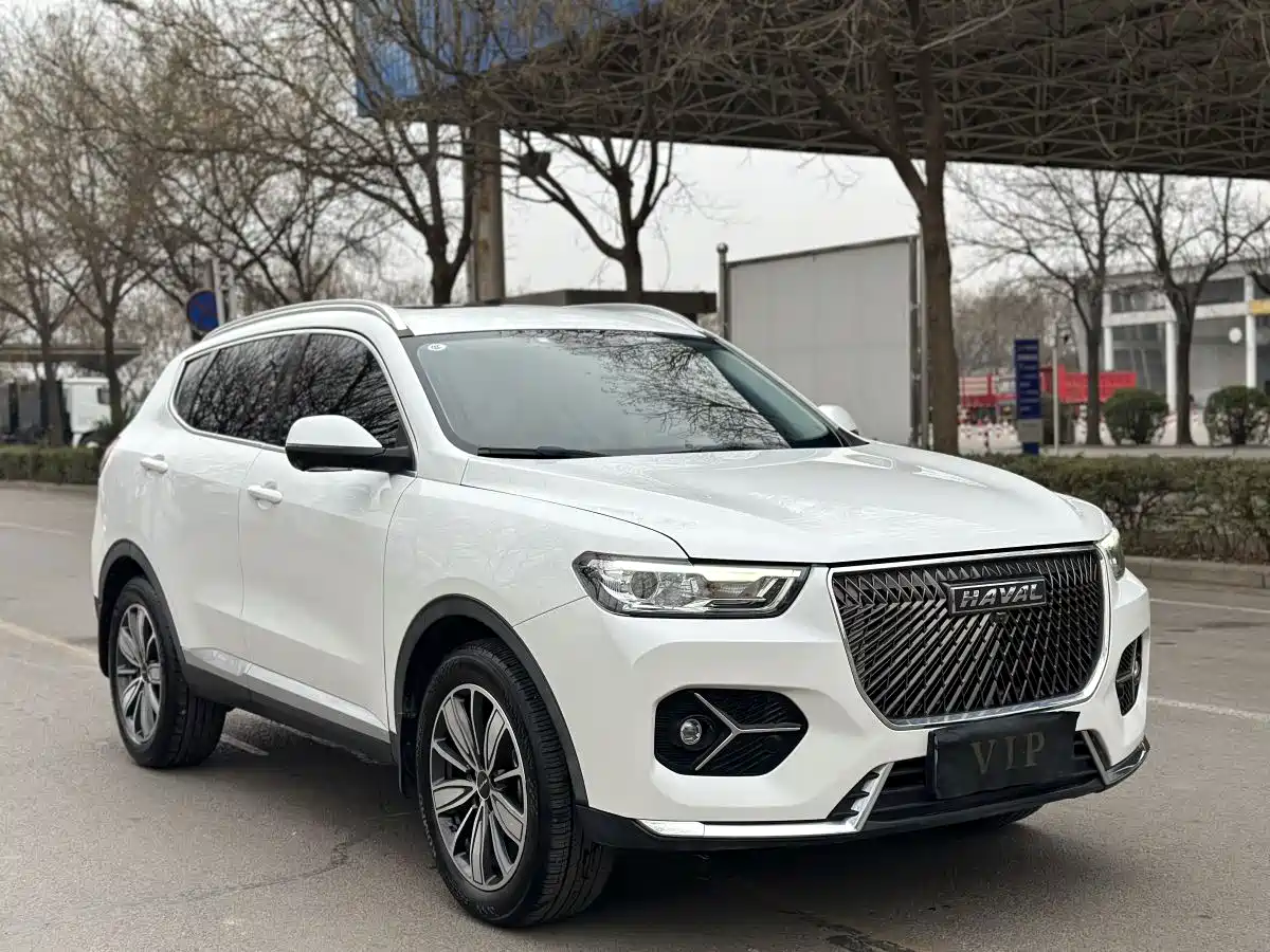 Haval H6 2020 1.5GDIT Automatic Platinum Comfort Edition фото 3
