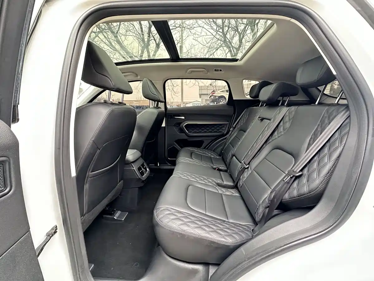 Haval H6 2020 1.5GDIT Automatic Platinum Comfort Edition фото 8