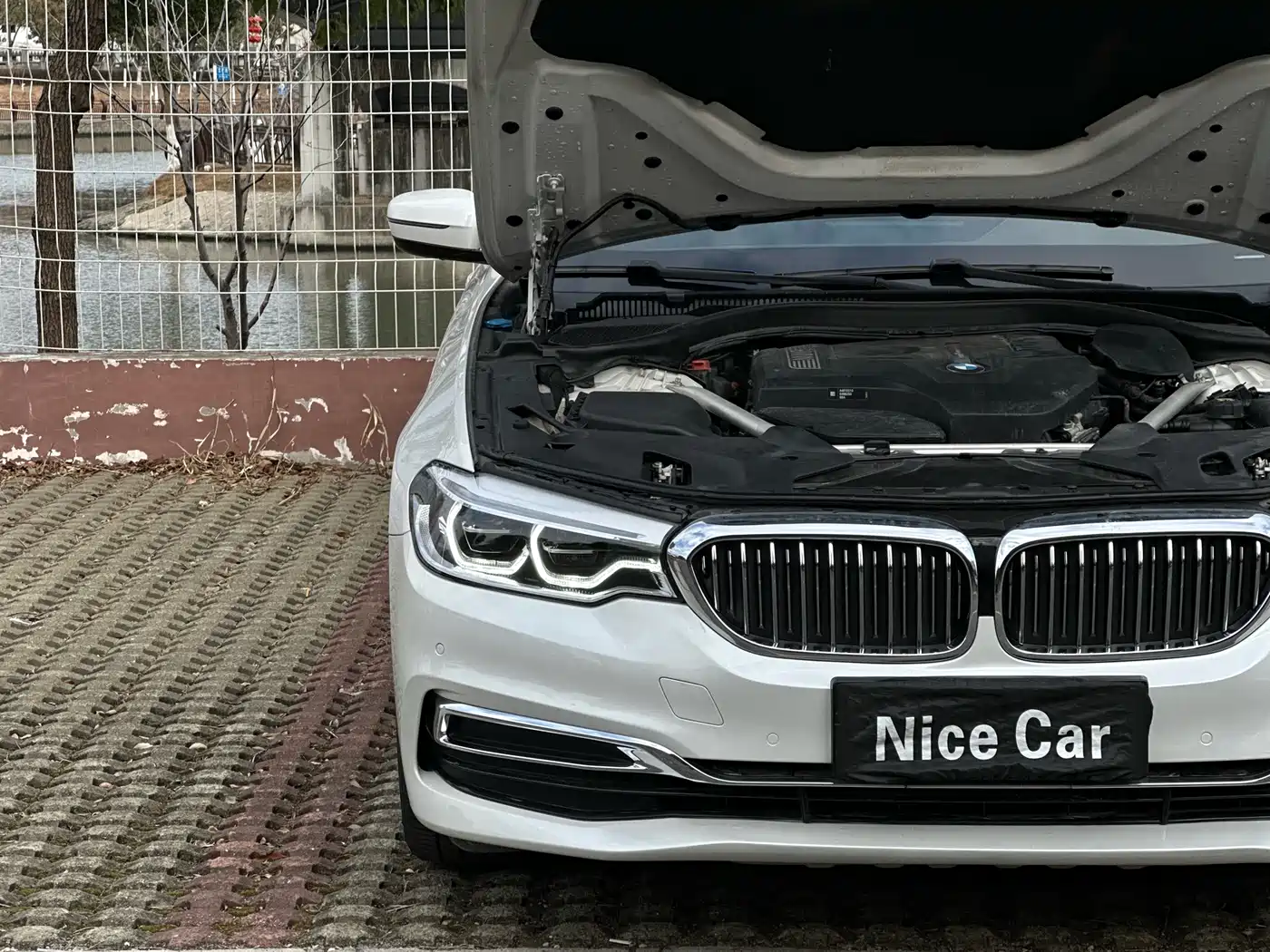 BMW 5 Series 2020 530Li Leading Luxury Package фото 30