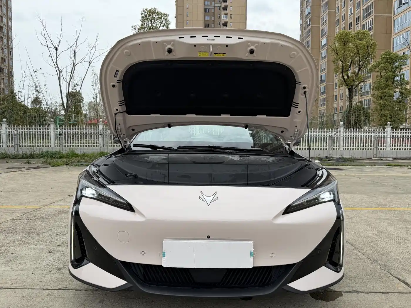 ARCFOX EXTREME FOX POLAR FOX ALPHA S5