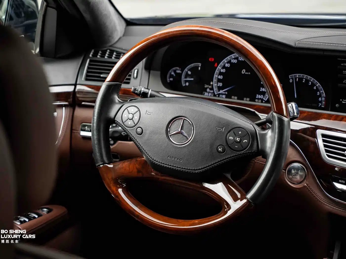 Mercedes-Benz S-Class 2010 S 600 L фото 7
