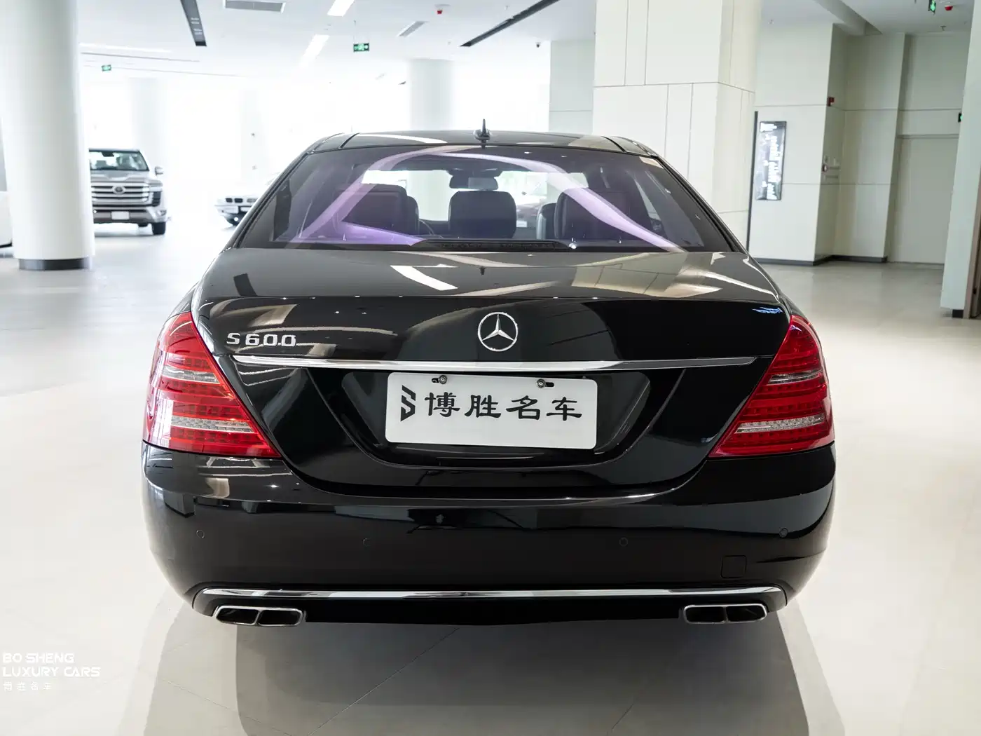 Mercedes-Benz S-Class 2010 S 600 L фото 50