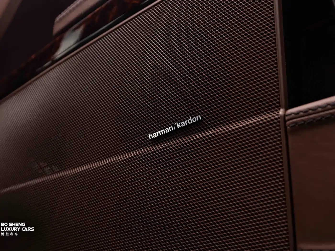 Mercedes-Benz S-Class 2010 S 600 L фото 52