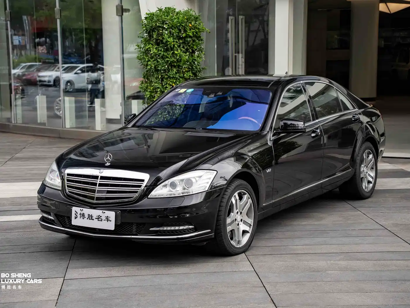 Mercedes-Benz S-Class 2010 S 600 L фото 32
