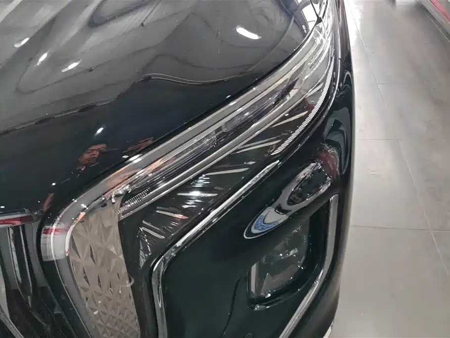 Hongqi HQ9 PHEV 2024 Model 2.0T AWD Luxury Edition фото 5