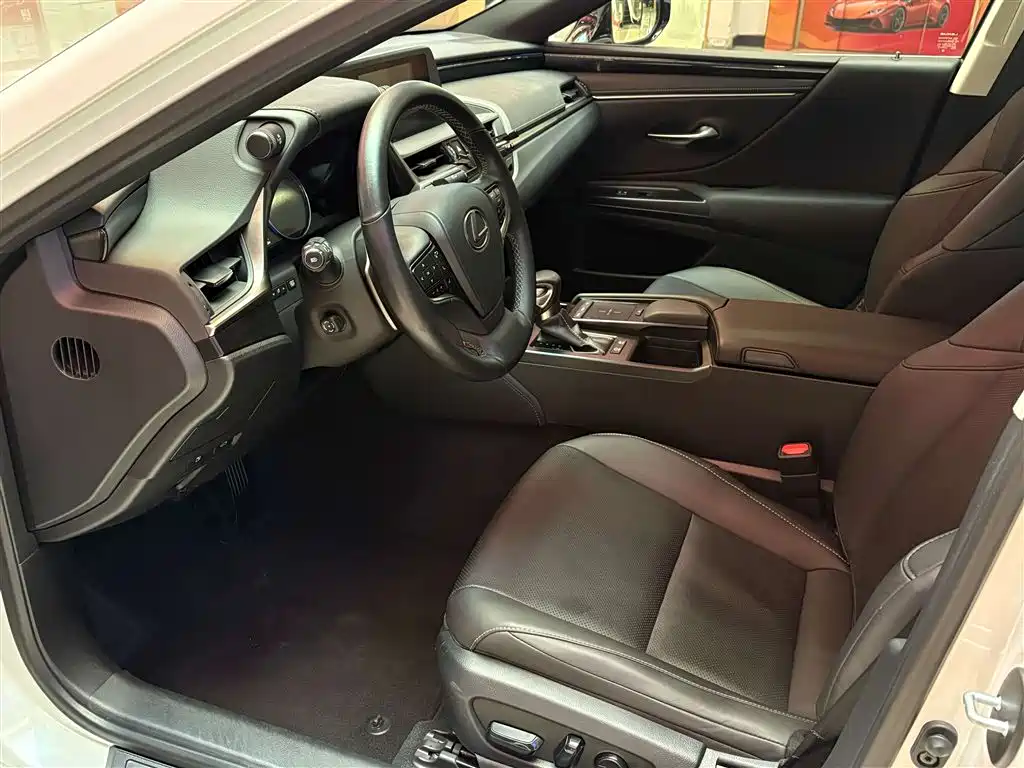 Lexus ES 2018 300h Excellence Edition China VI фото 9
