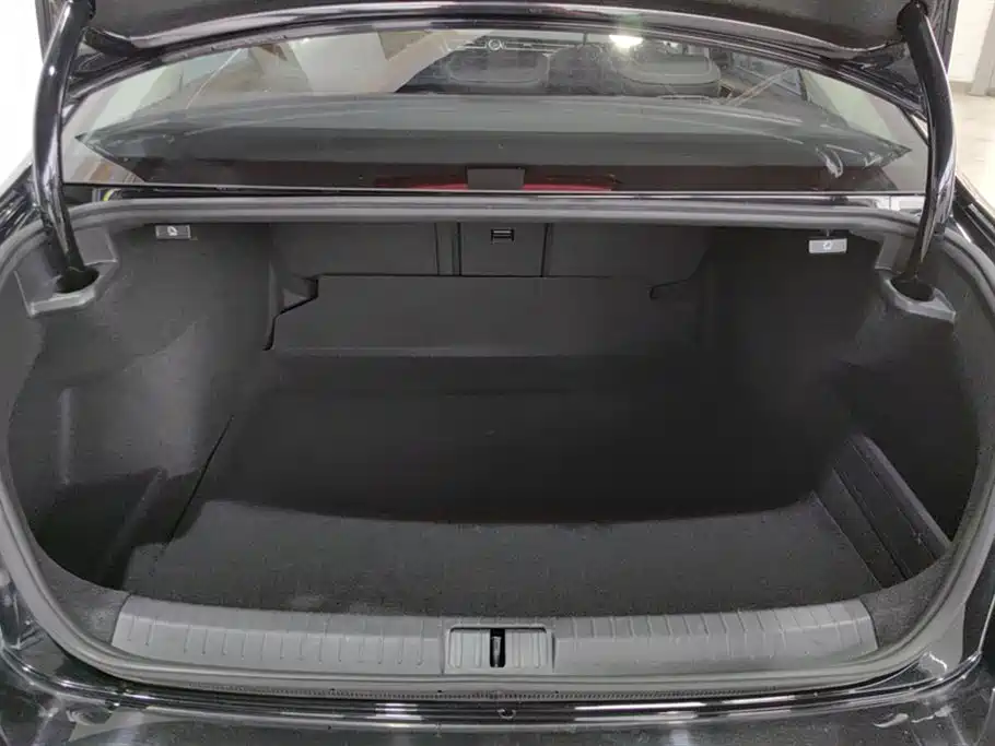 Volkswagen Magotan 2021 330TSI DSG 30th Anniversary Edition фото 4
