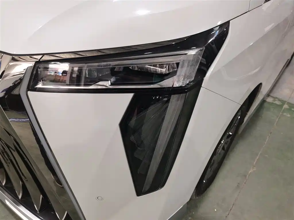 GAC Trumpchi Trumpchi M8 2023 Master Series Dual Hybrid Flagship Edition фото 24