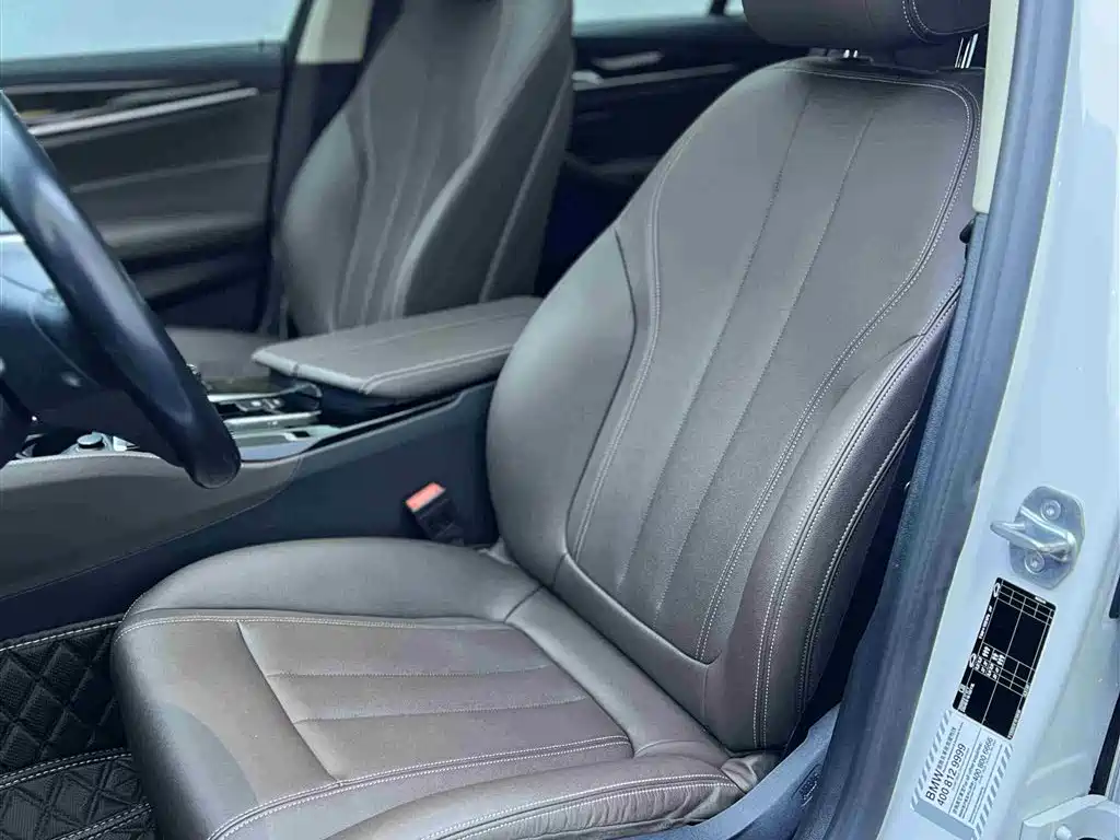 BMW 5 Series 2019 525Li Luxury Package фото 5