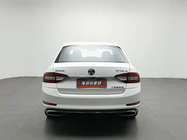 Škoda Octavia 2019 1.5L Automatic Luxury Edition — фото 4