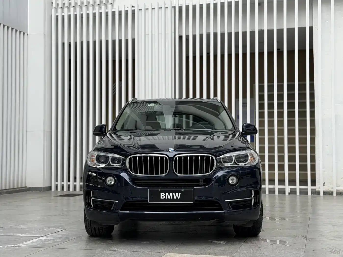BMW X5 (Import) 2017 xDrive35i Elegance фото 3