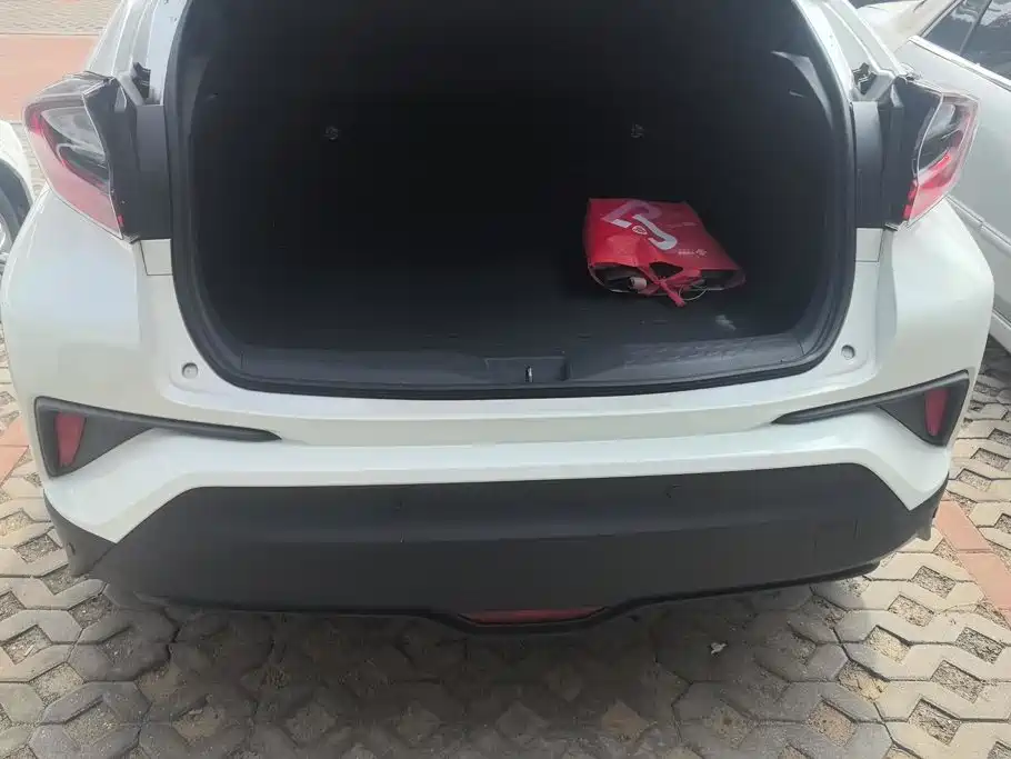 Toyota IZOA 2020 2020 2.0L Yi Chi Edition