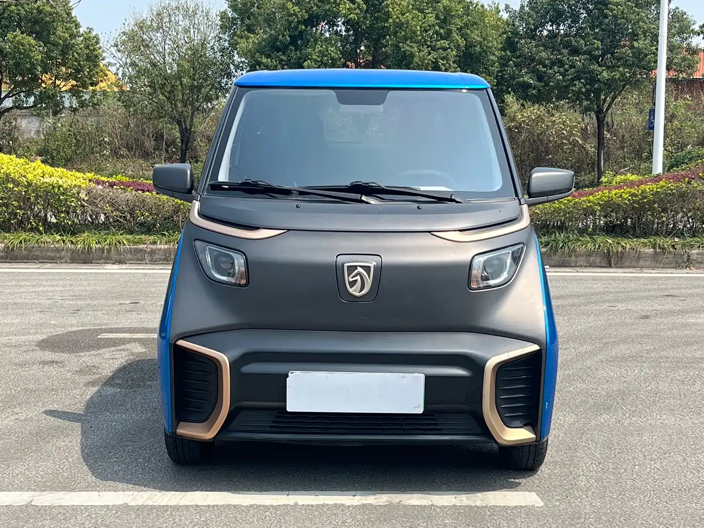 Baojun E200 2019 2018 Smart Drive Edition