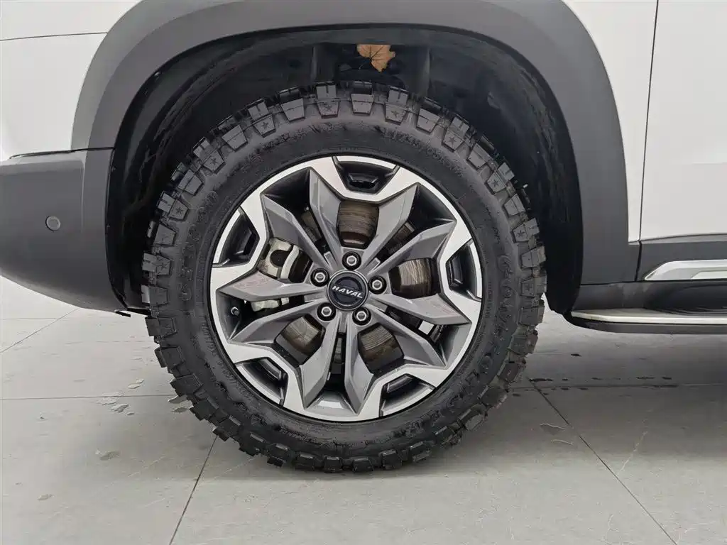 Haval Big Dog 2021 2.0T DCT AWD Howling Celestial Dog Edition фото 17