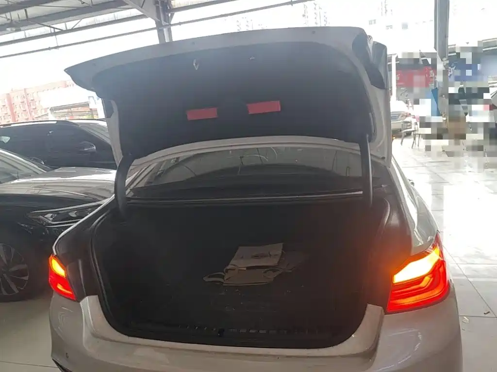 BMW 5 Series 2020 525Li M Sport Package фото 19