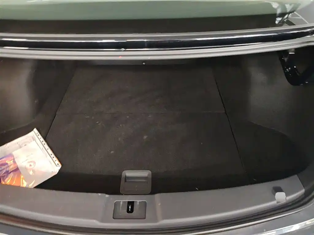 Hongqi E-QM5 2023 Facelift Basic Travel Edition фото 15