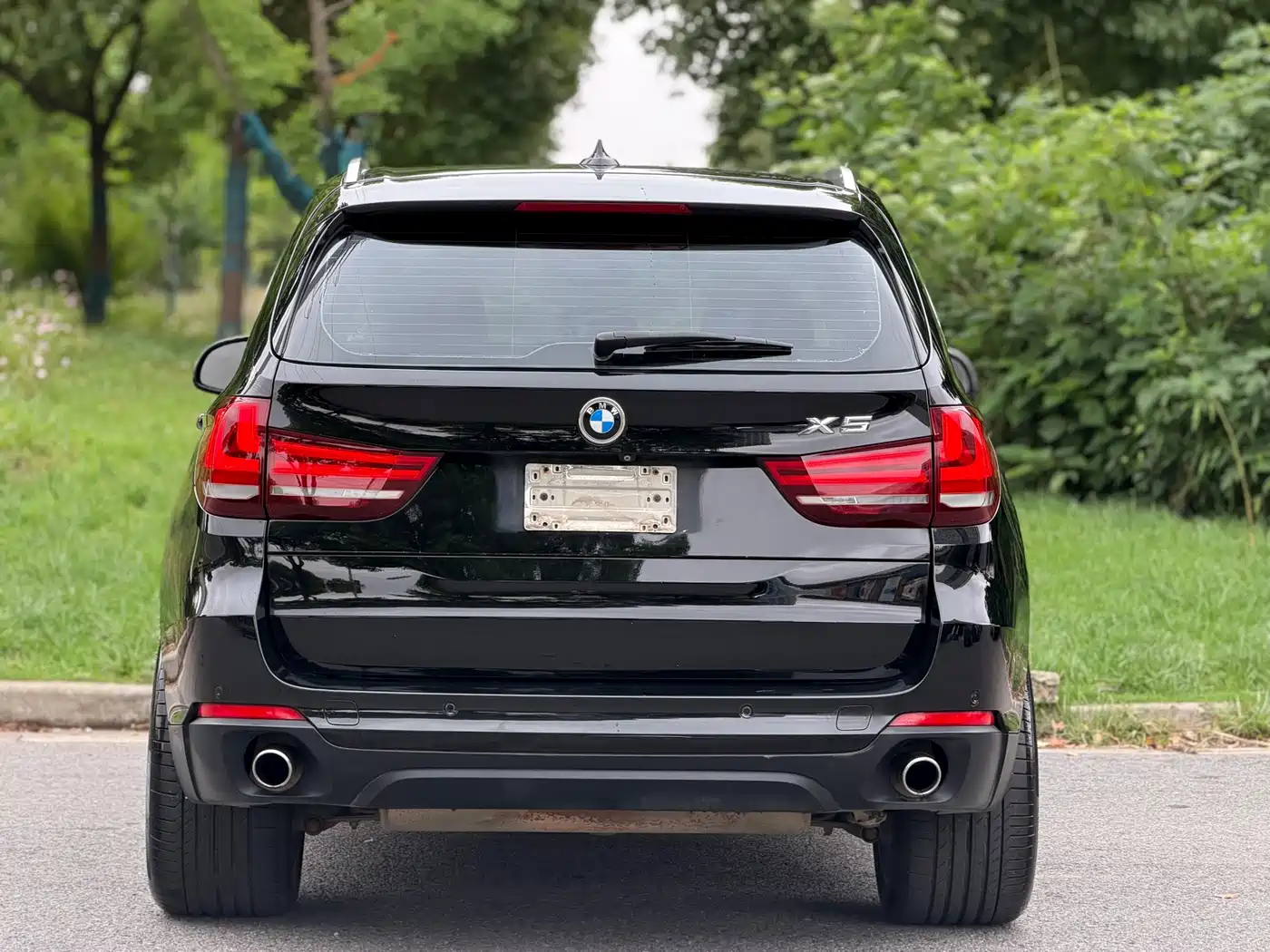 BMW X5 (Import) 2017 xDrive35i Elegance фото 6