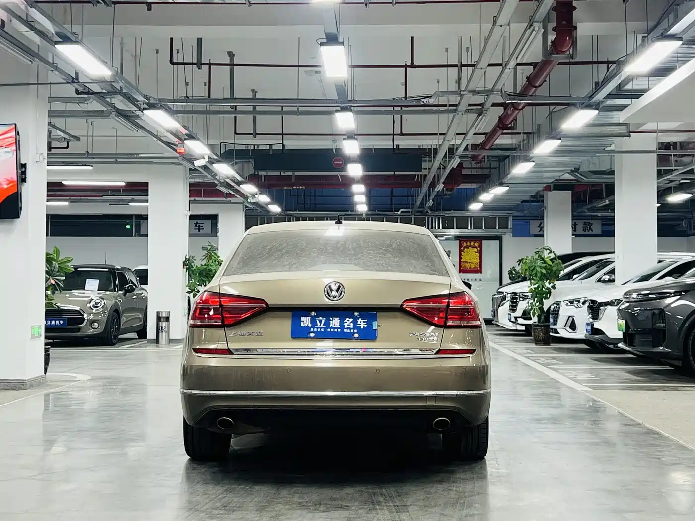 Volkswagen Passat 2016 330TSI DSG Executive Edition фото 4