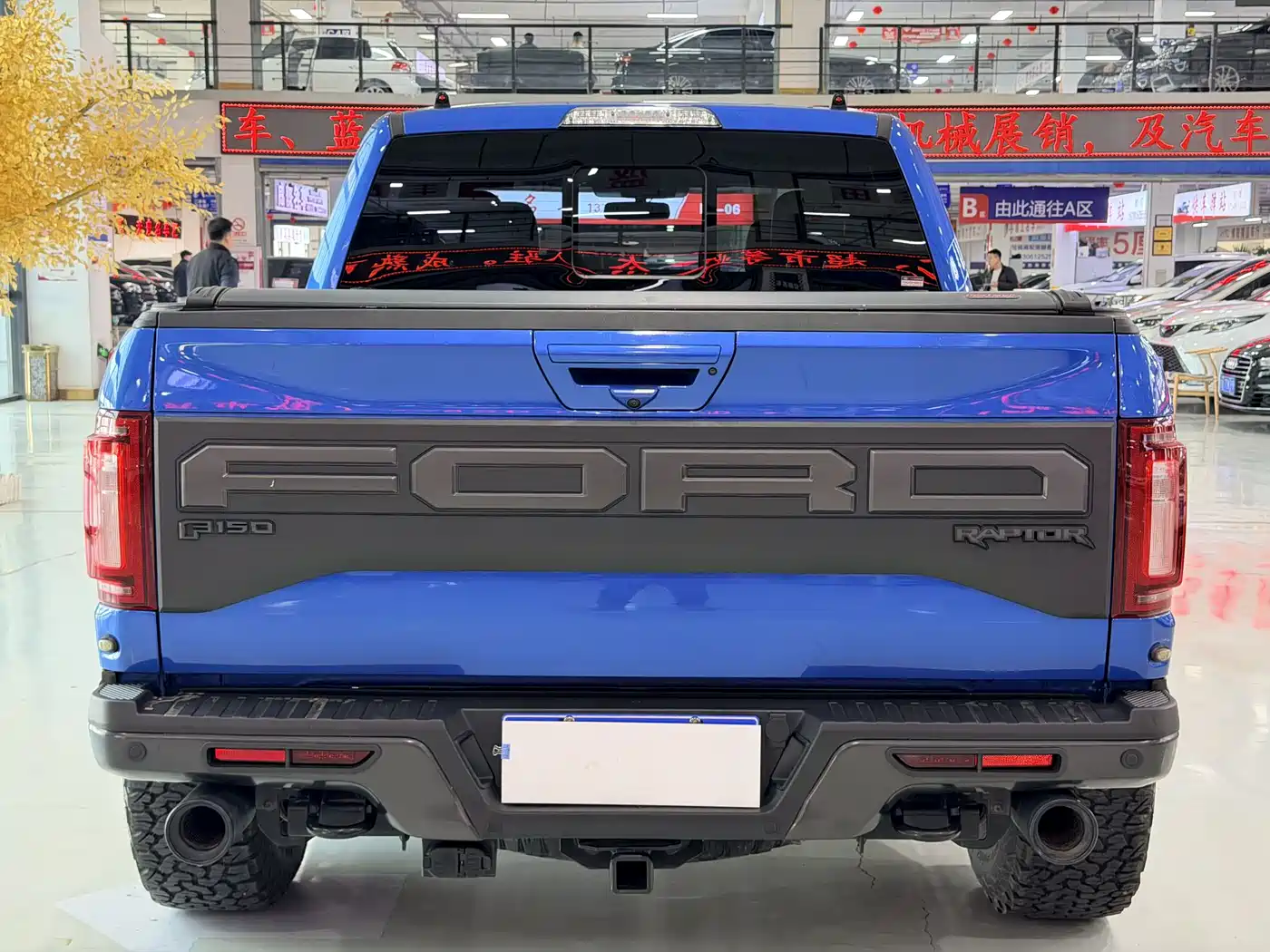 FORD F 150 RAPTOR