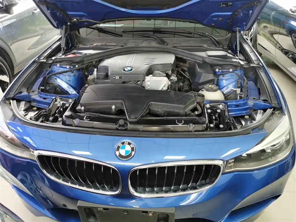 BMW 3 Series GT 2016 320i Design Package фото 20