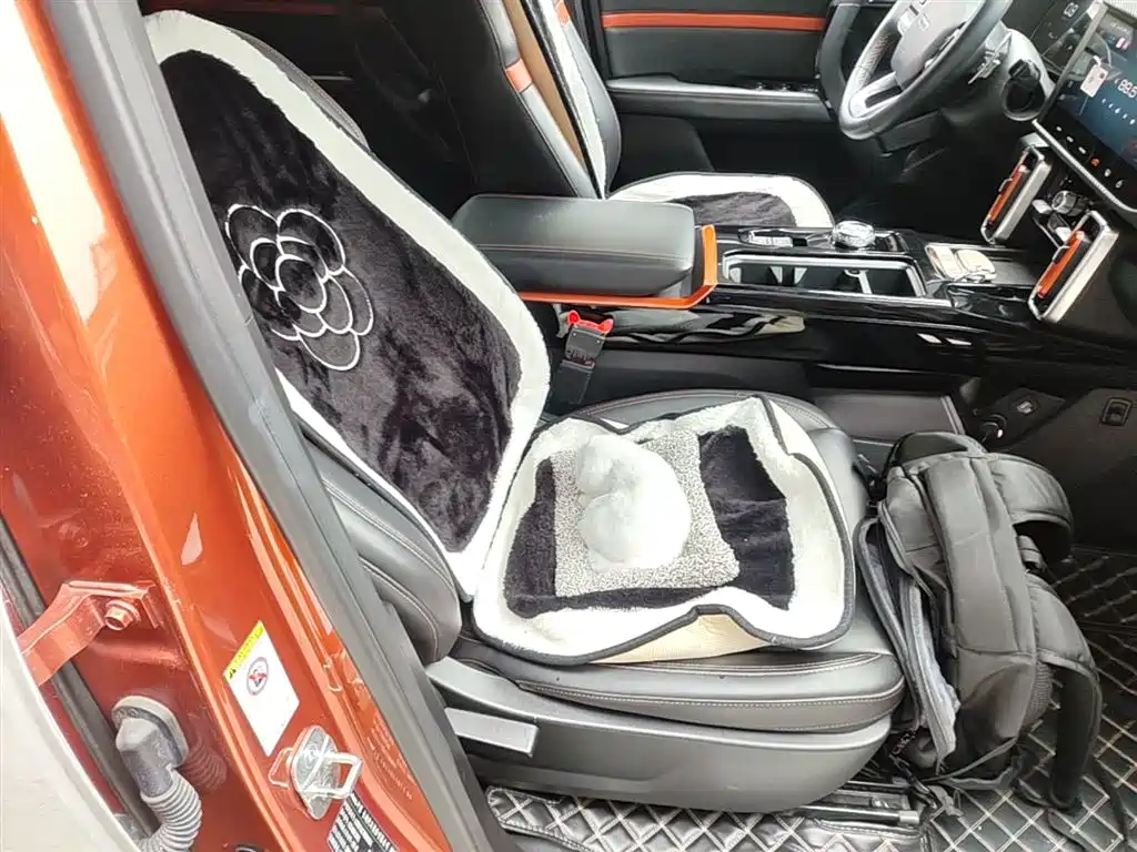 Haval Big Dog 2021 1.5T DCT 2WD Border Collie - Wangcai Edition фото 25