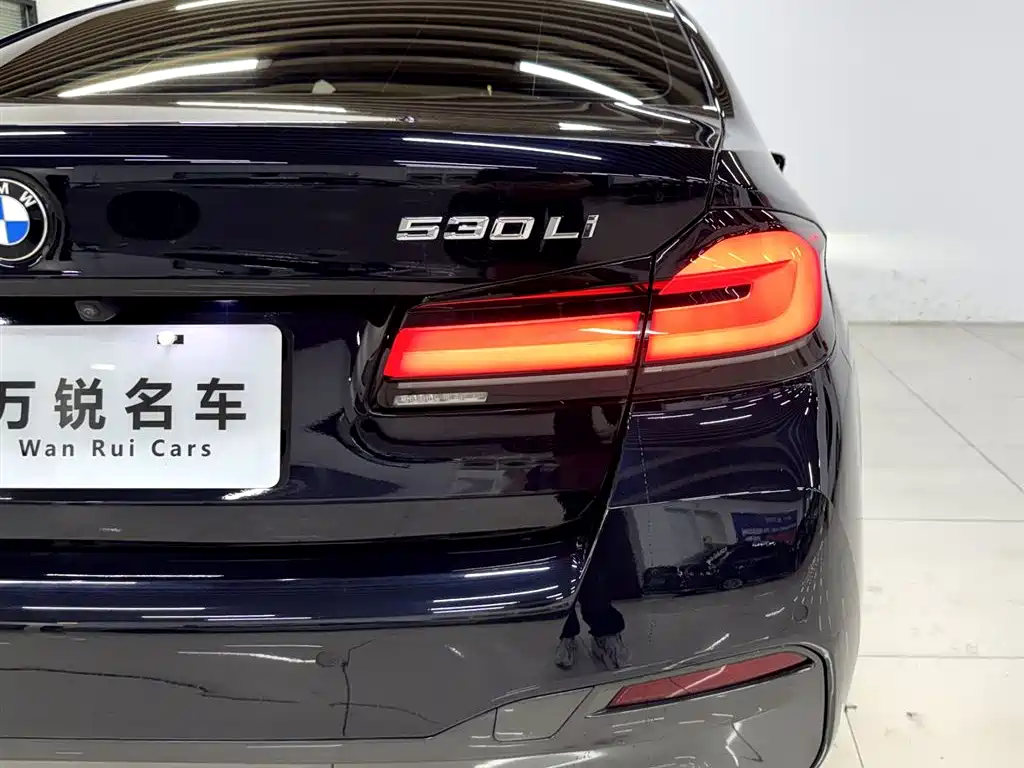 BMW 5 Series 2021 Facelift 530Li Premium M Sport Package фото 7