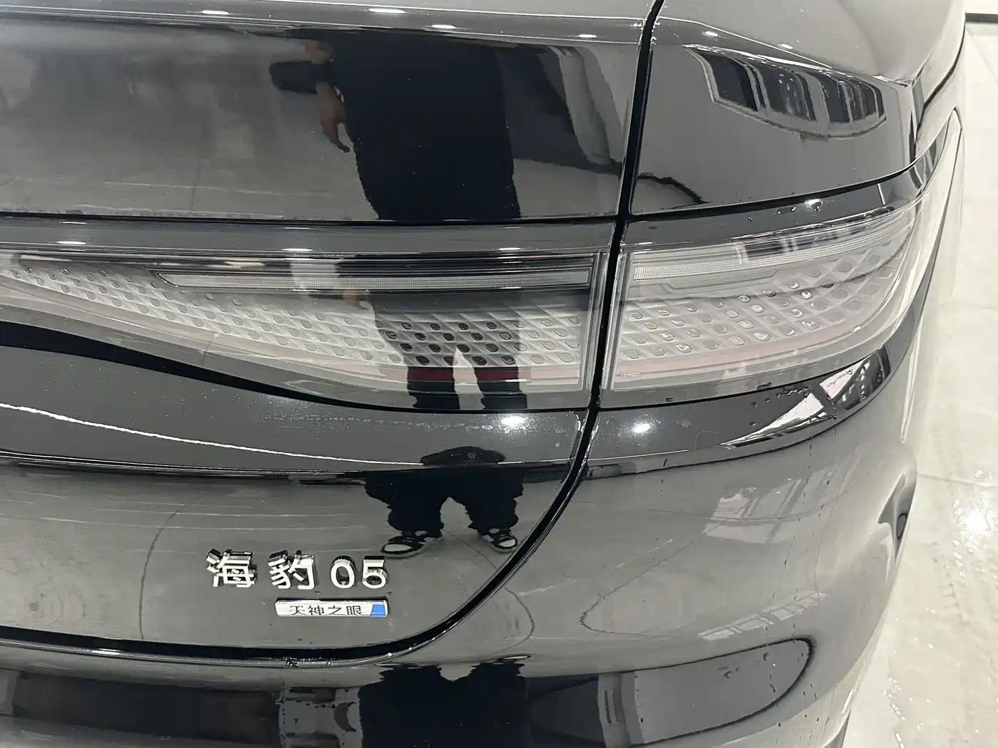 BYD Hai Bao 05 DM-i 2025 DM-i Smart Driving Edition 120KM Flagship фото 4