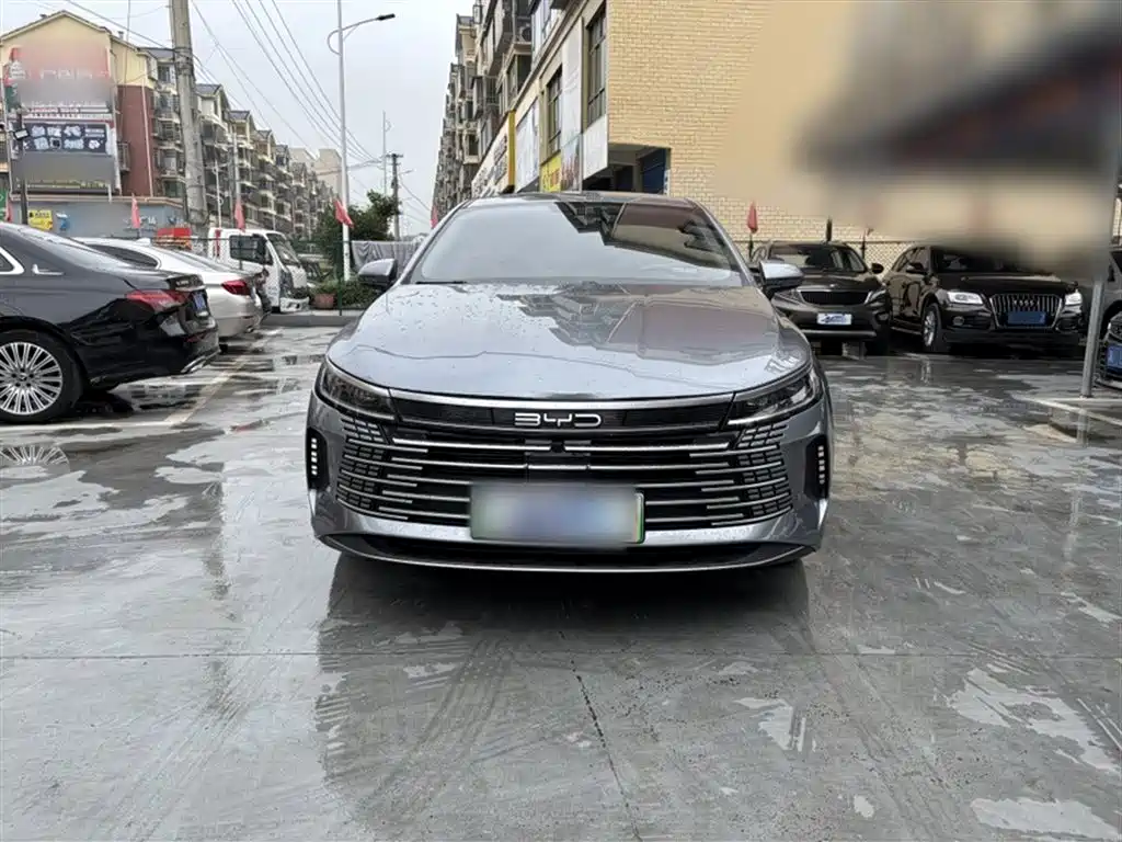 BYD Destroyer 05 2024 Glory Edition DM-i 55KM Luxury фото 5