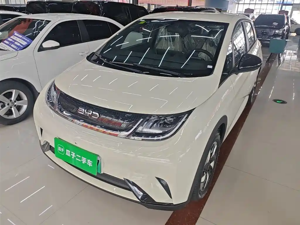 BYD Dolphin 2025 420km Freedom Edition