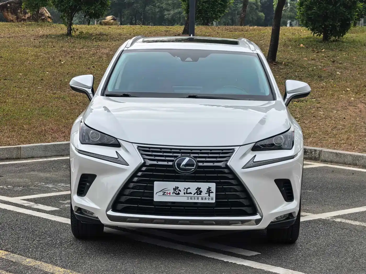 LEXUS NX