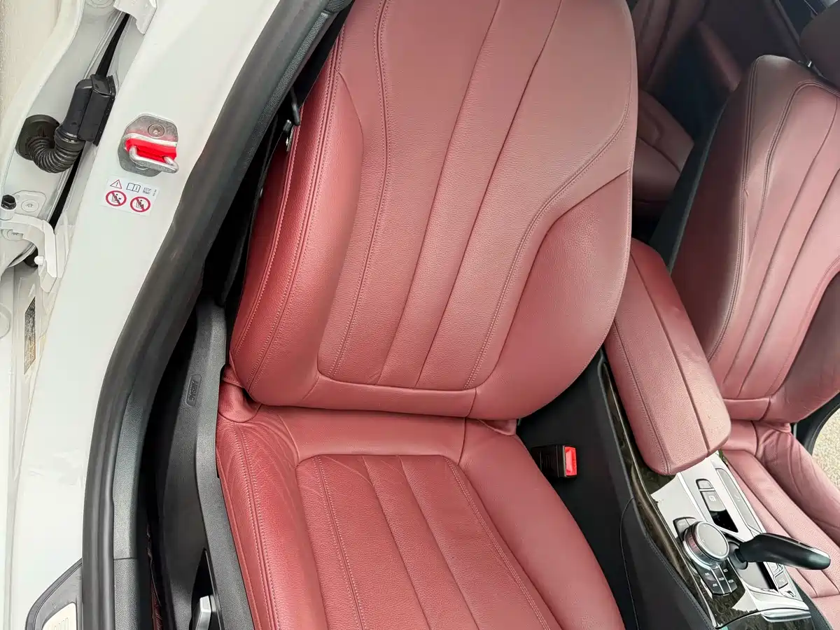 BMW 5 Series 2020 530Li Leading M Sport Package фото 14