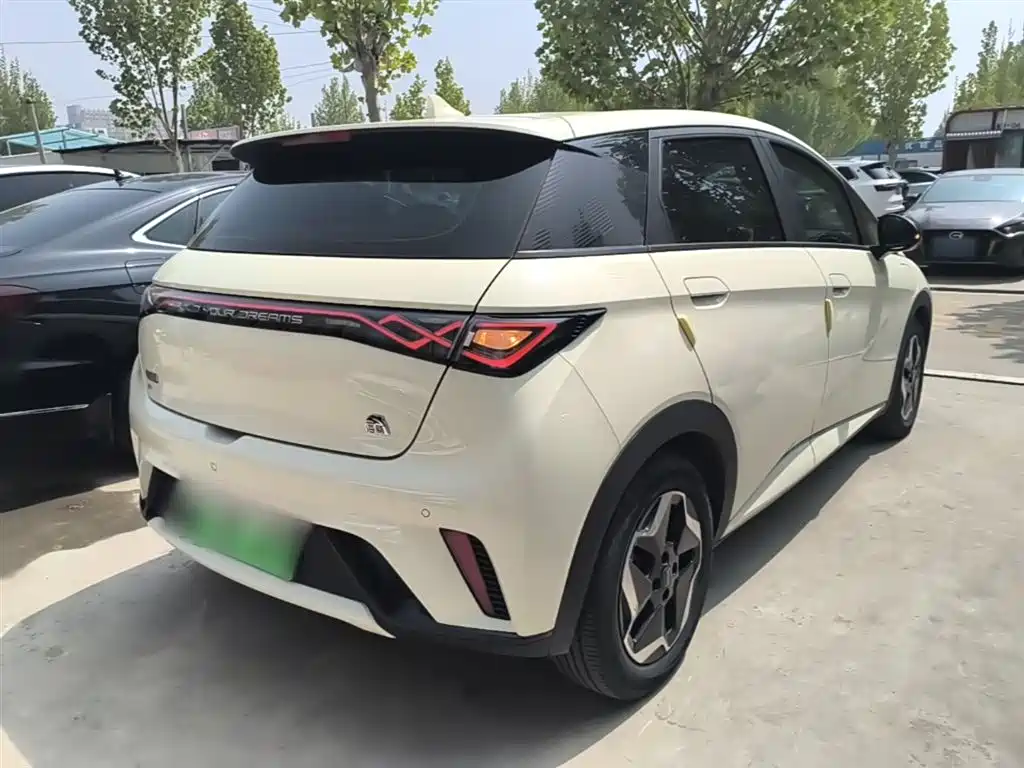 BYD Dolphin 2021 Model 405km Fashion Edition фото 7