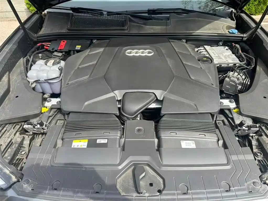 Audi Q8 2024 55 TFSI Luxury Sport фото 22