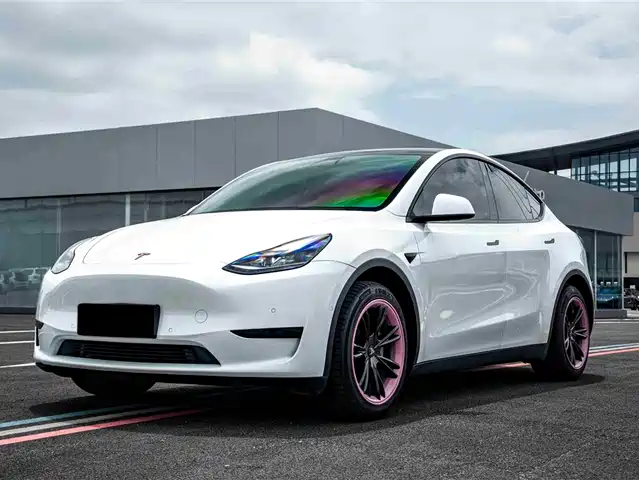 Tesla Model Y Задний привод