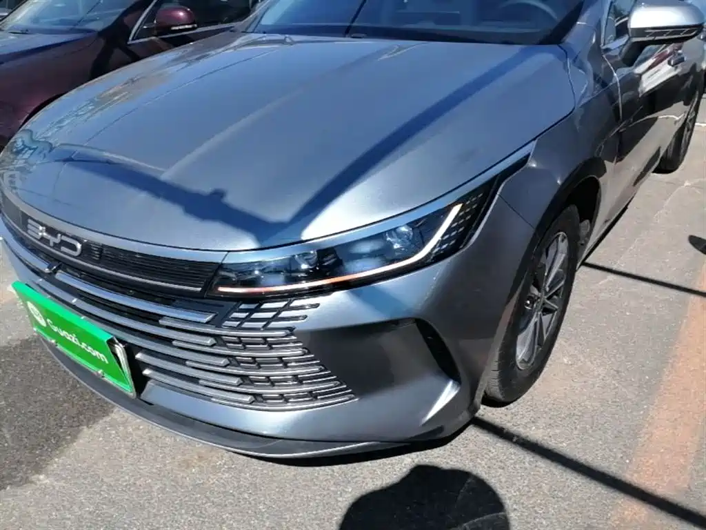 BYD Destroyer 05 2024 Glory Edition DM-i 55KM Luxury фото 24